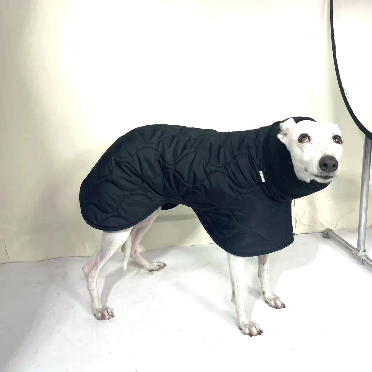 Adjustable Quilted Dog Coat for Winter - Keeping Italian Greyhounds and Whippets Warm in Style - Winter Dog Outer Black Quilted Turtle Collar Dog Coat Warm Italian Greyhound Adjustable Cotton Whippet