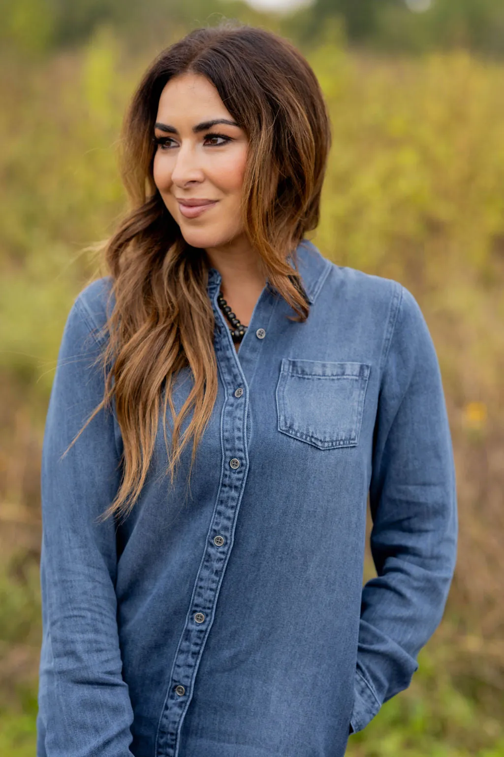 Denim Button Up Dress