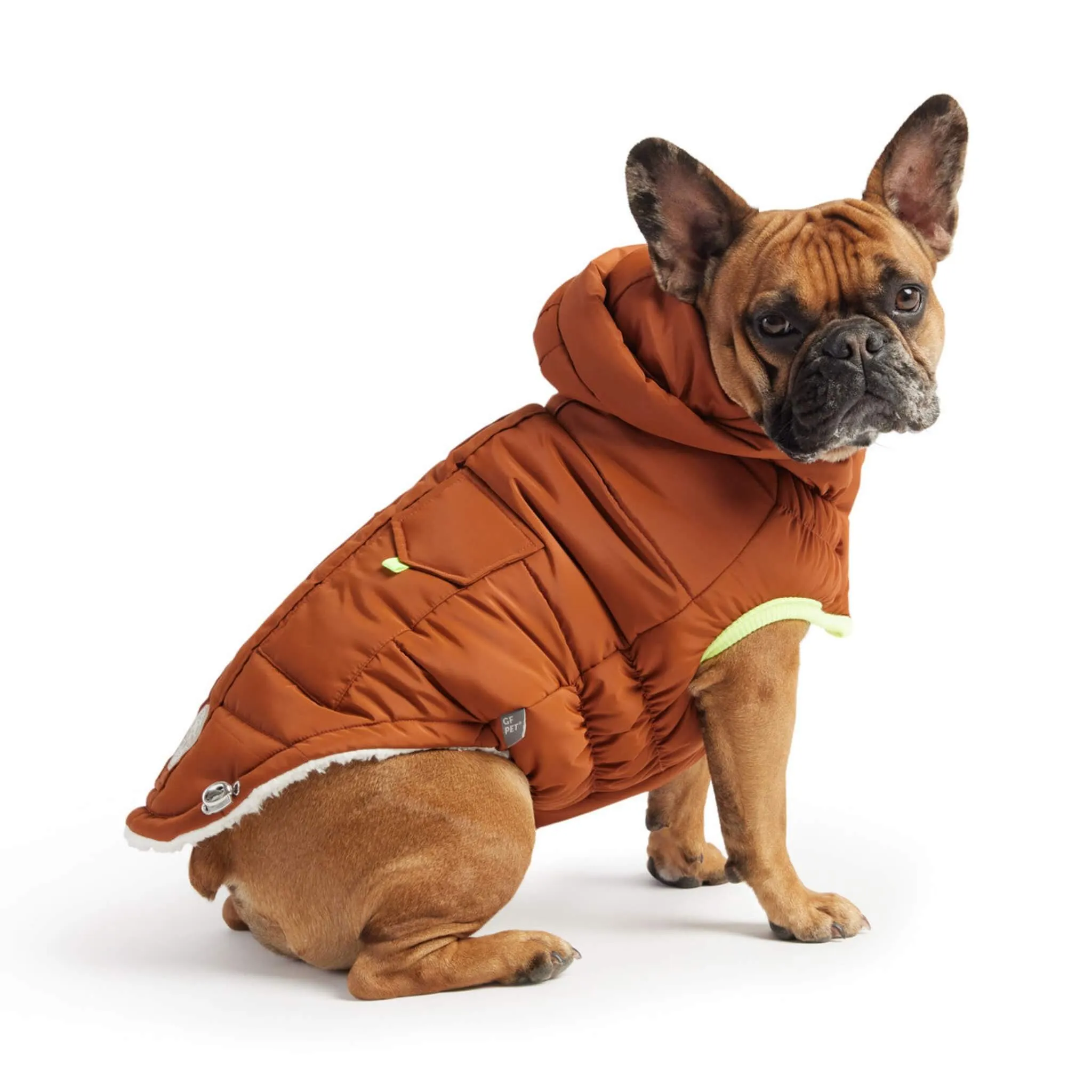 Puff Dog Parka - Hazel