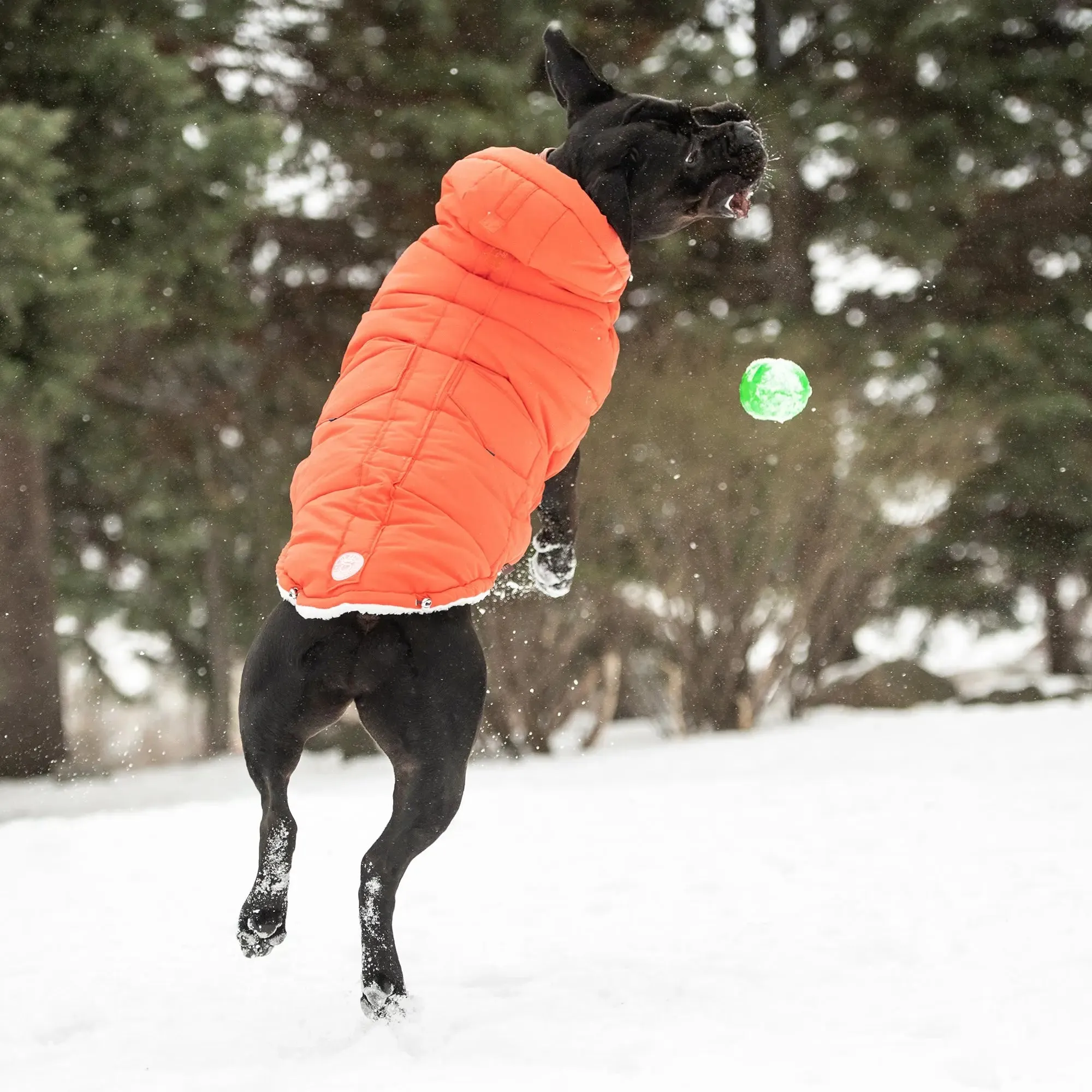 The Puff Dog Parka | Orange