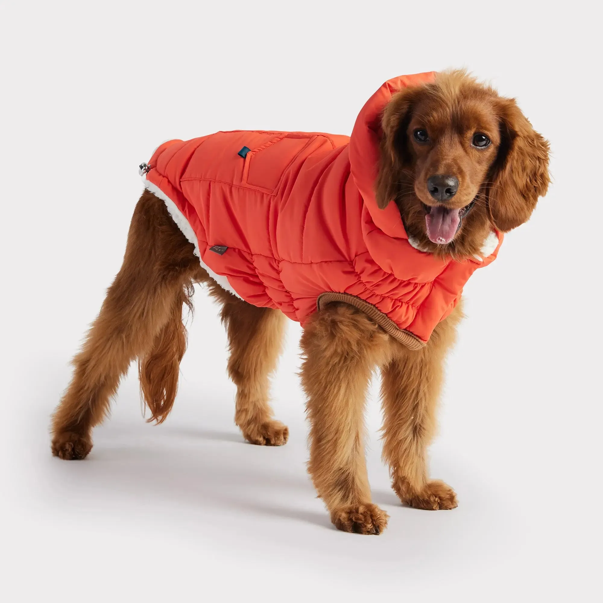 The Puff Dog Parka | Orange