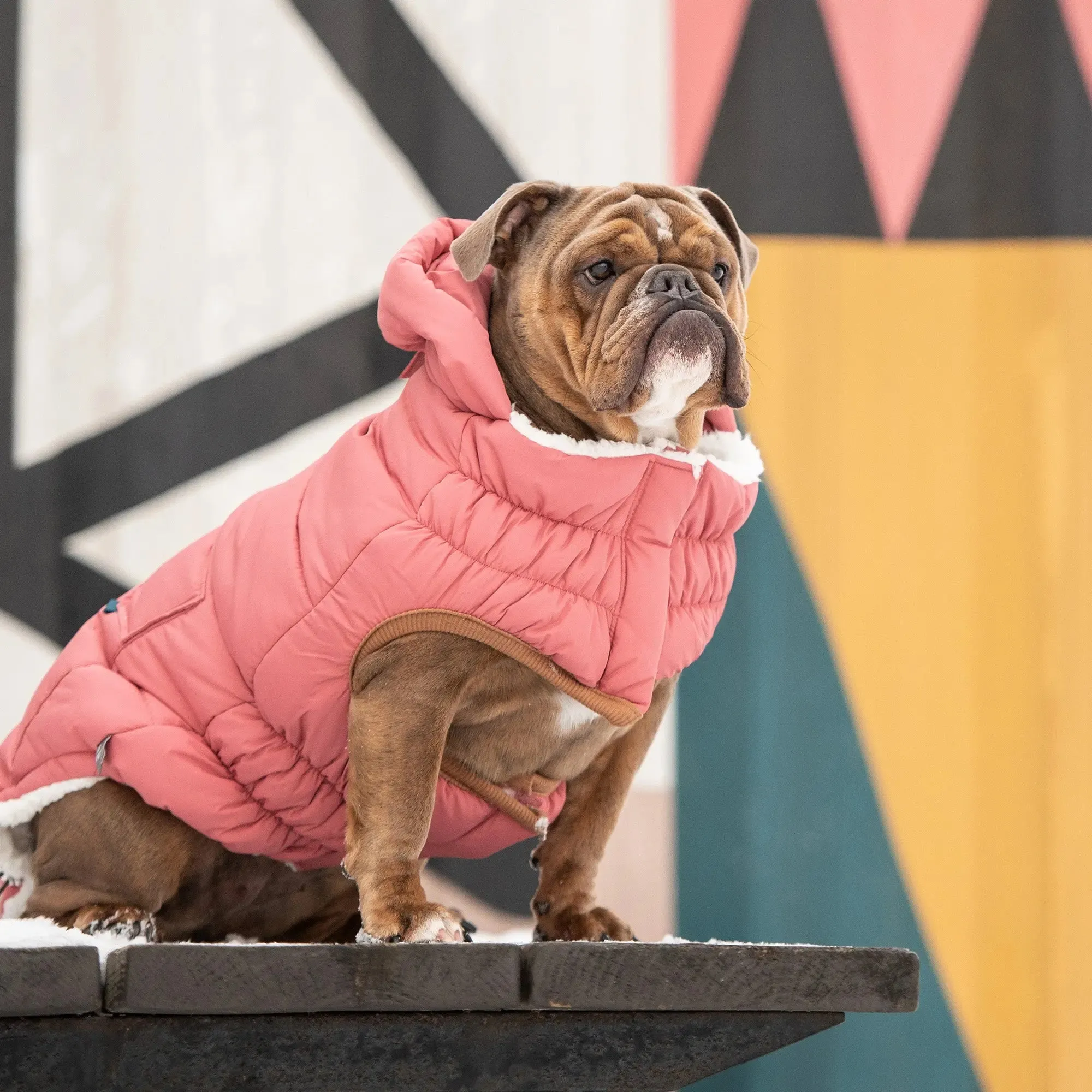 The Puff Dog Parka | Pink