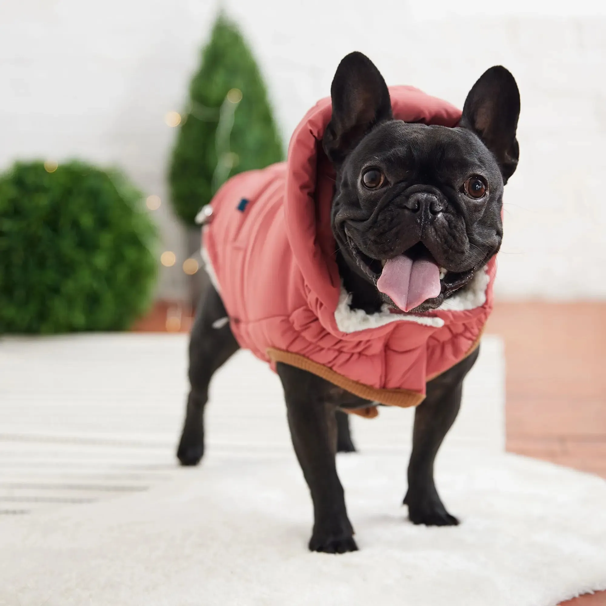 The Puff Dog Parka | Pink