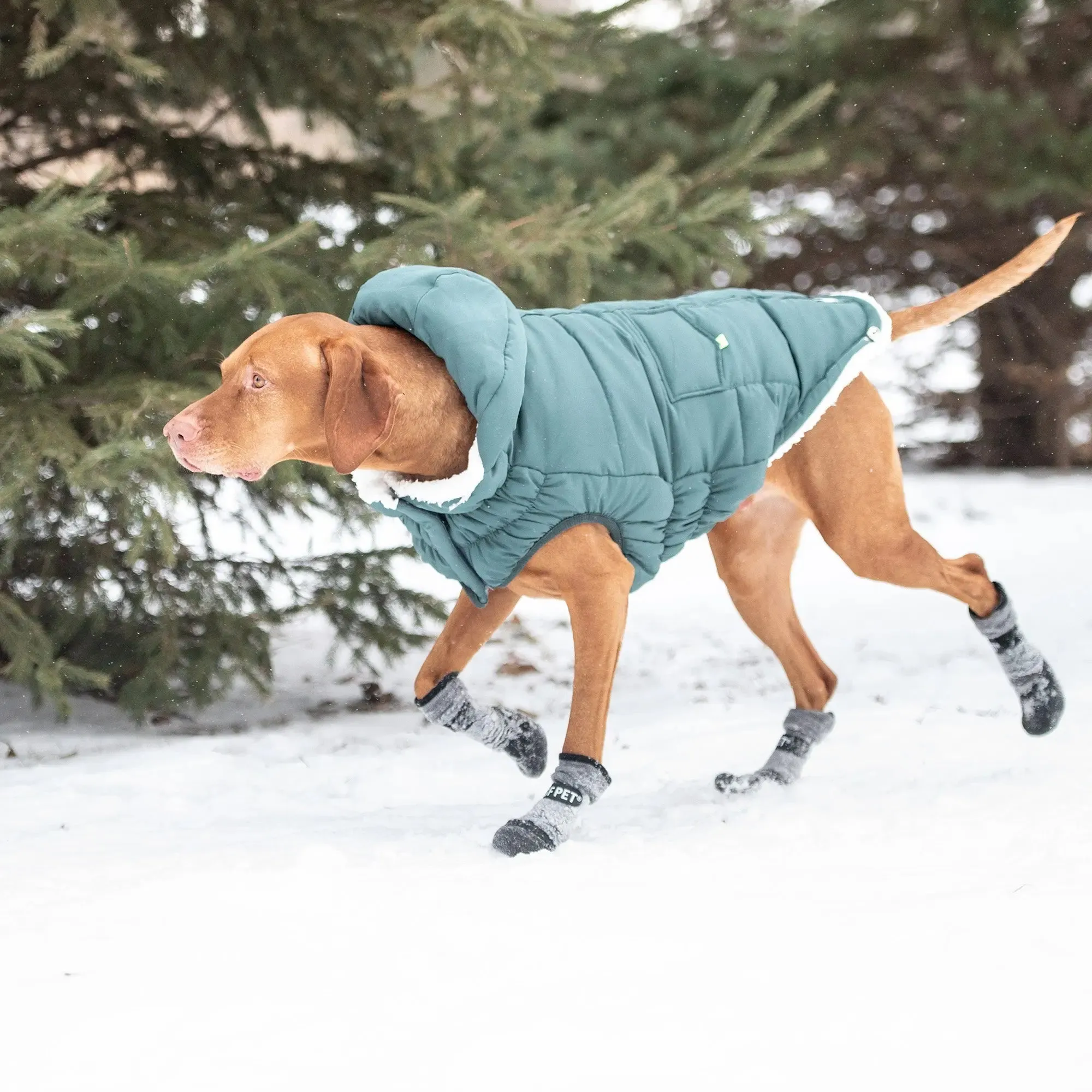 The Puff Dog Parka | Teal