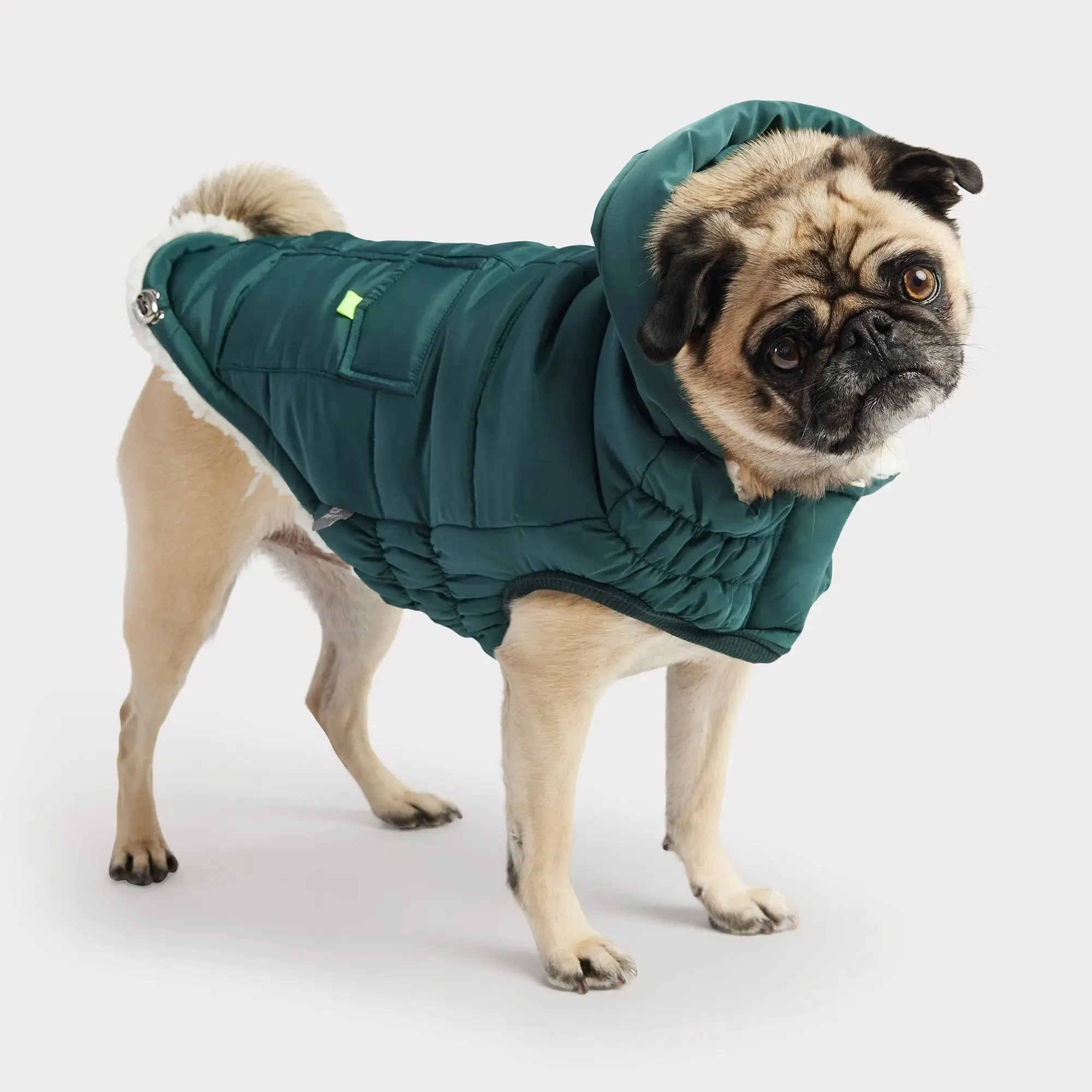 The Puff Dog Parka | Teal