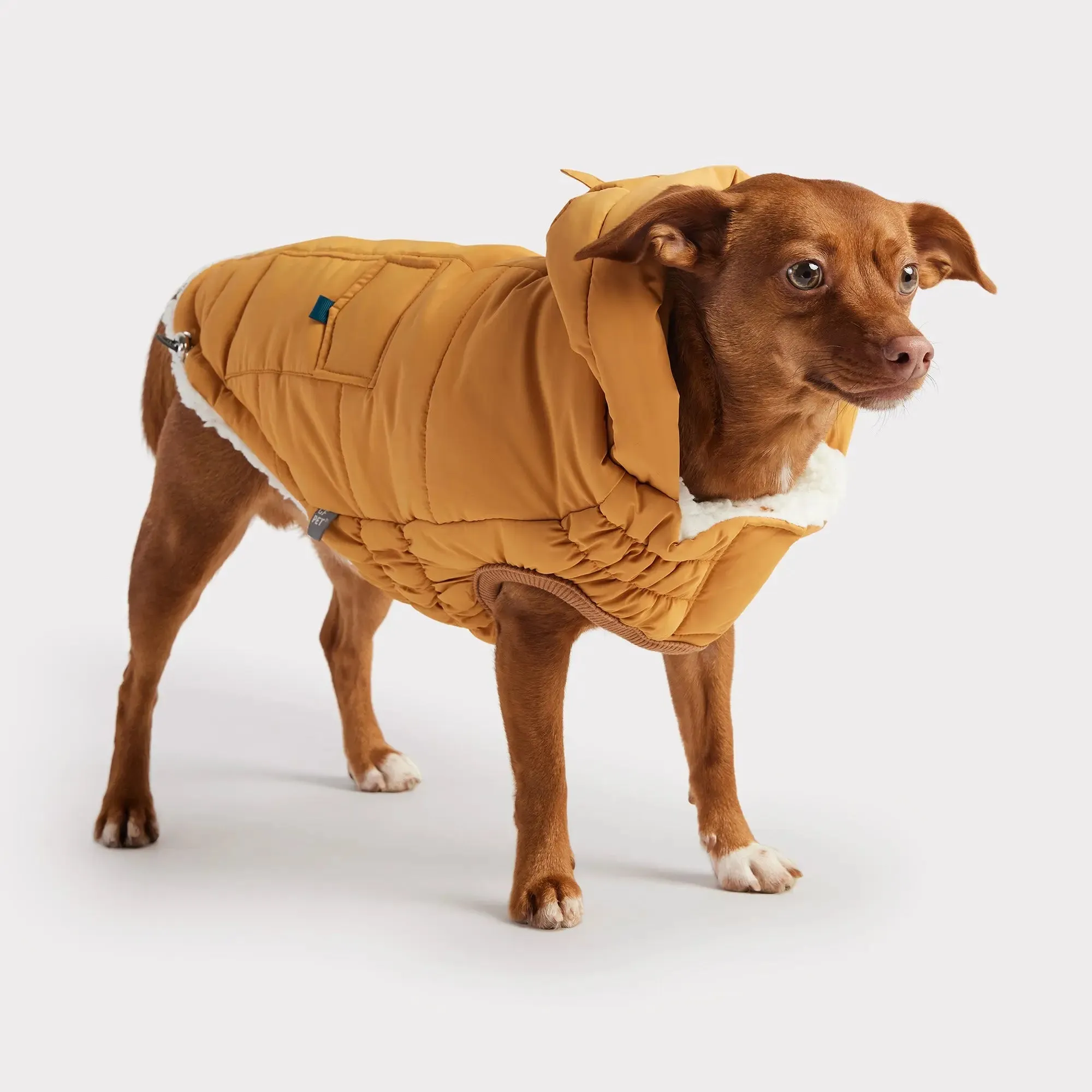 The Puff Dog Parka | Yellow