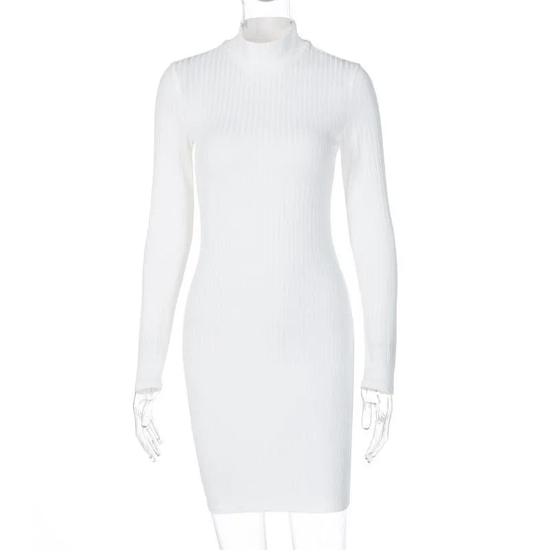 Victoria Ribbed Turtleneck Mini Dress