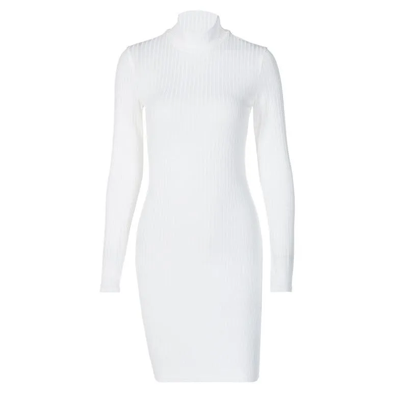 Victoria Ribbed Turtleneck Mini Dress